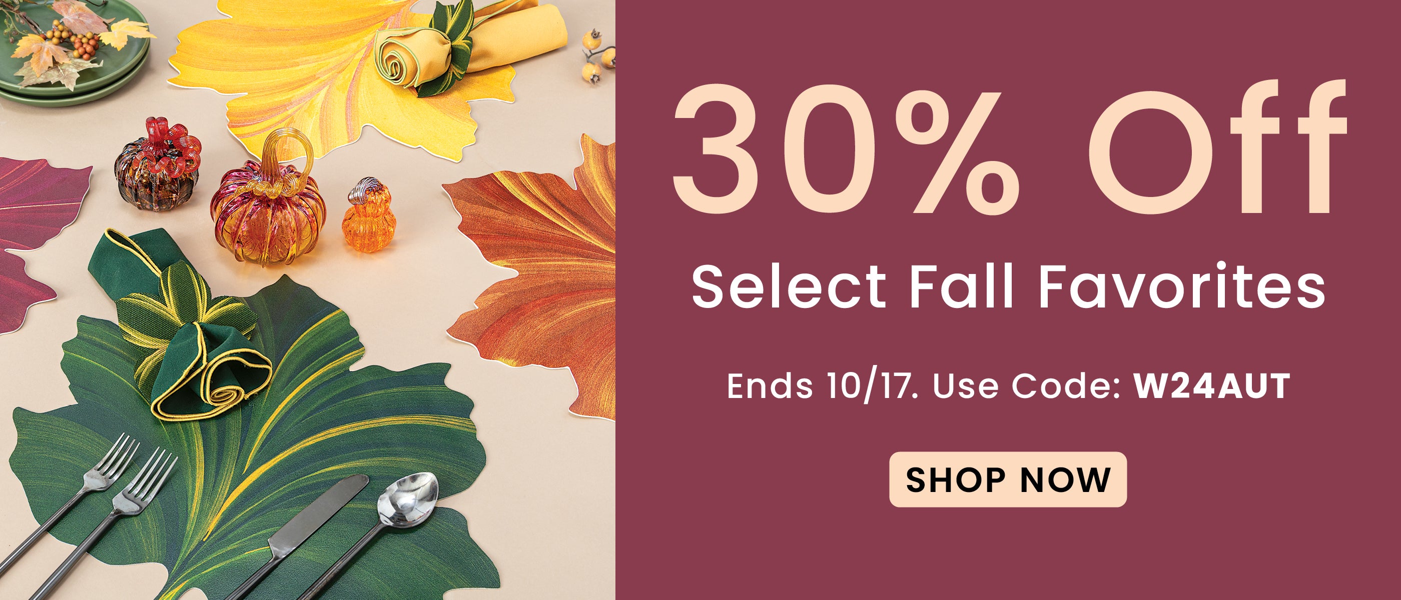 30% Off Fall Favorites Use Code W24AUT