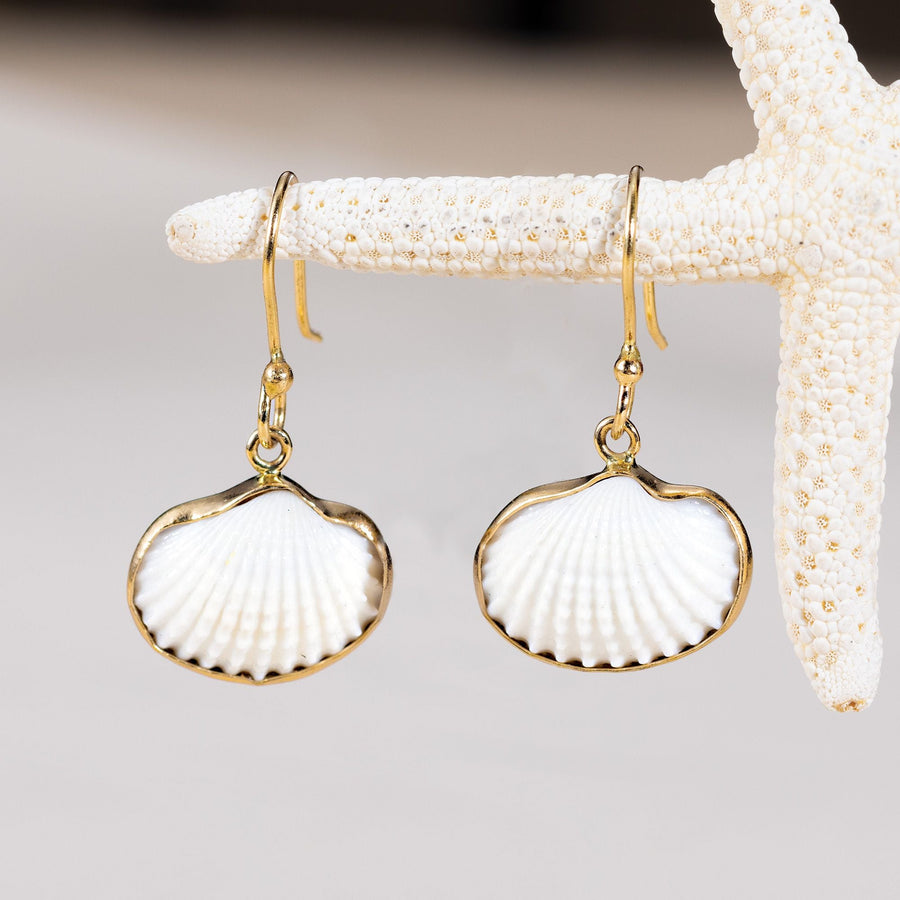 Atlantic Alchemia Shell Earrings
