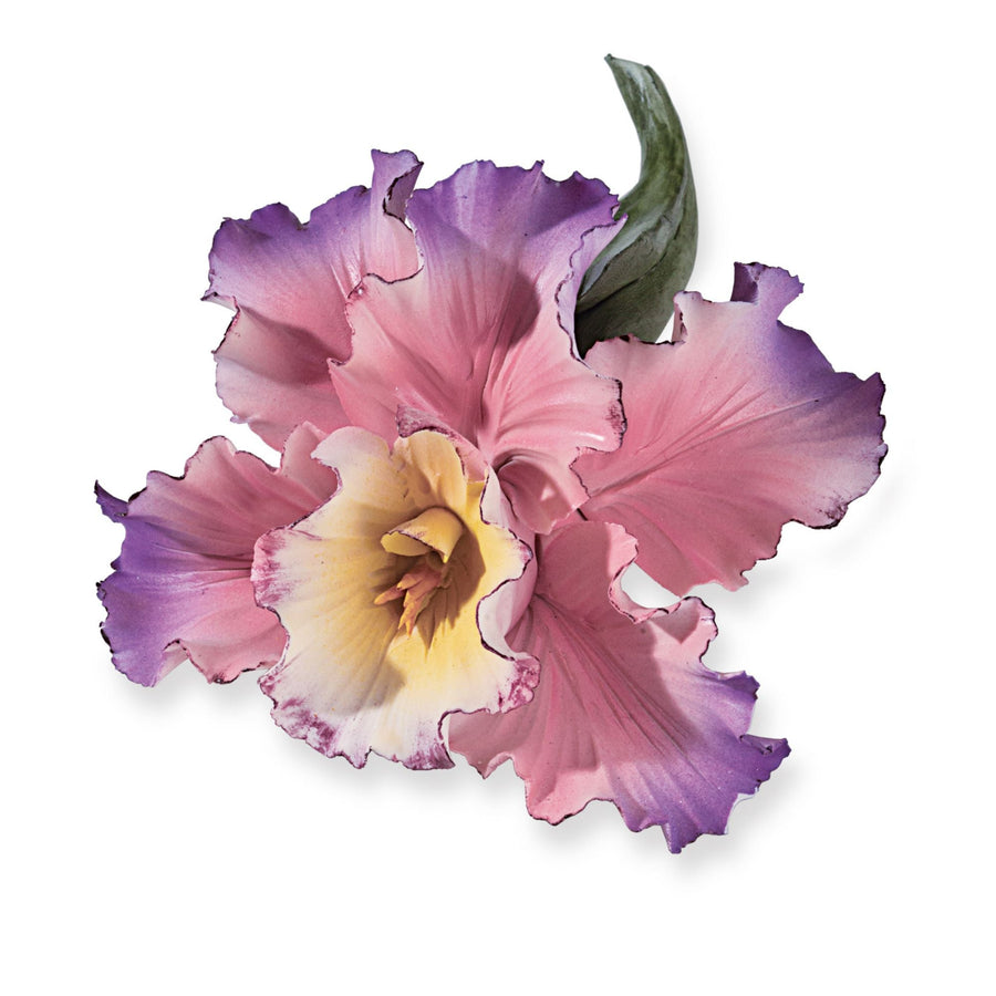 Capodimonte Porcelain Blooming Iris