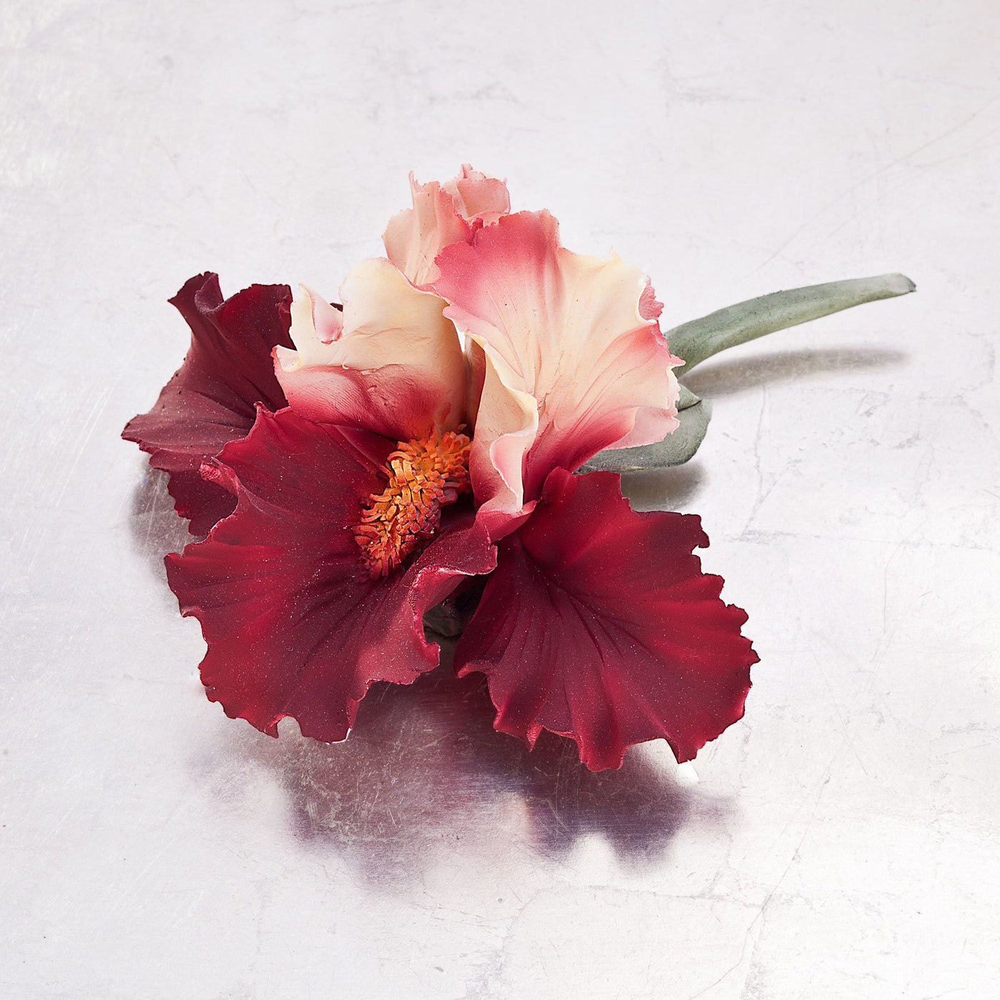 Capodimonte Porcelain Red Iris