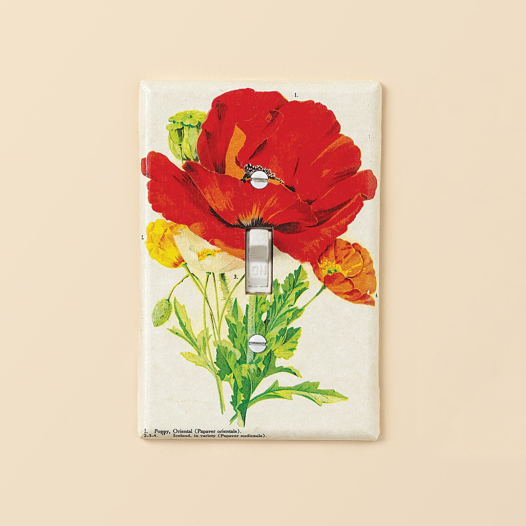 Red Poppy Decoupage Single Switch Plate