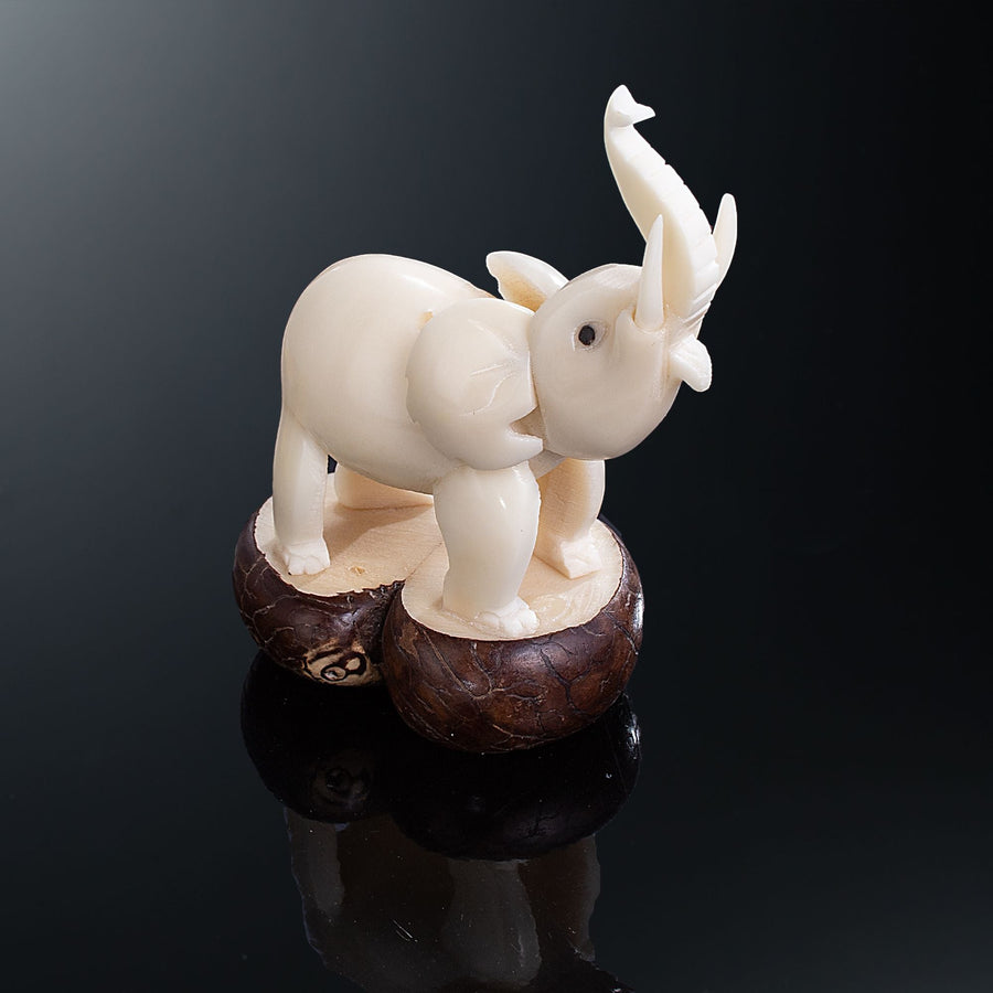 Hand-Carved Tagua Nut Elephant Sculpture