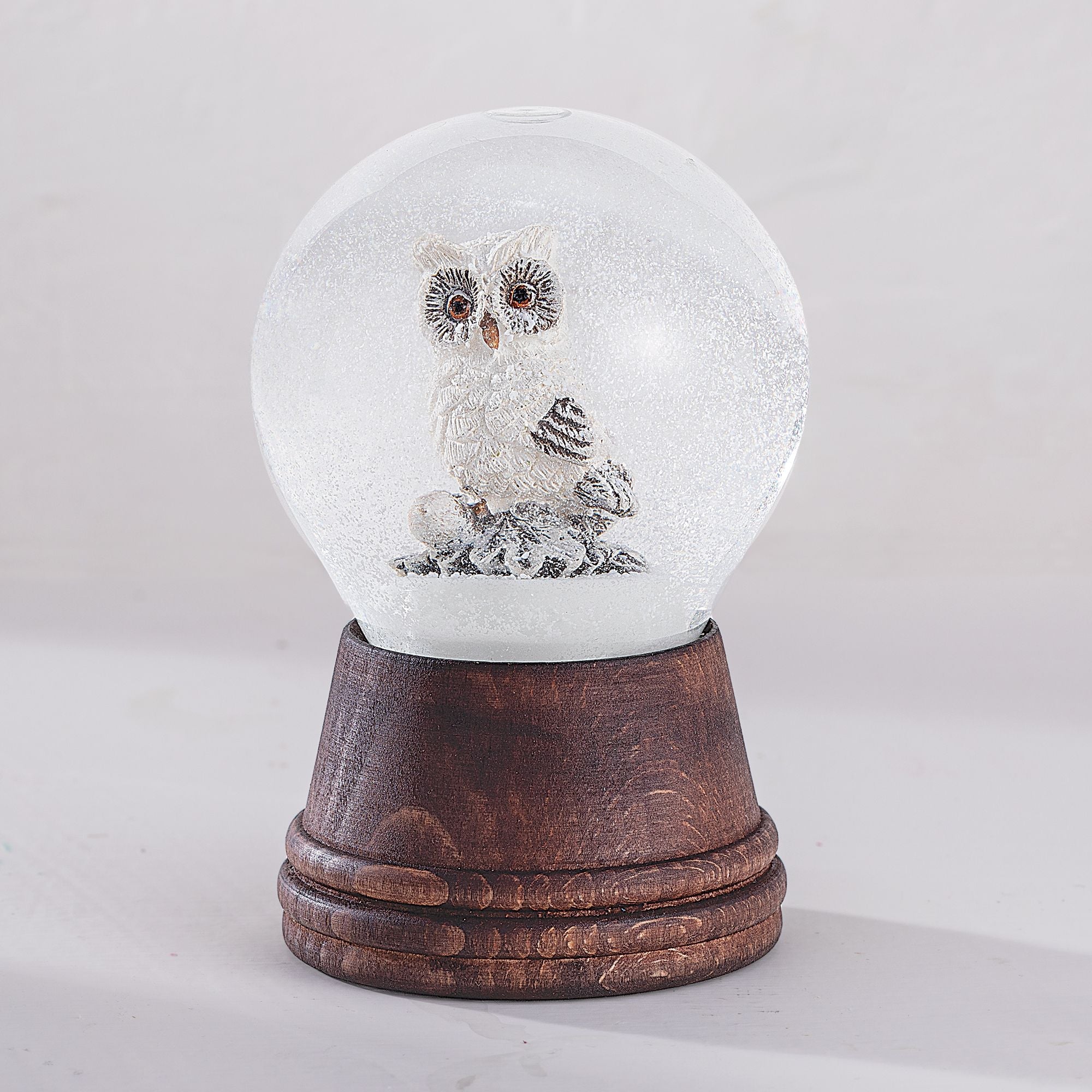 Snowy Owl Snow Globe