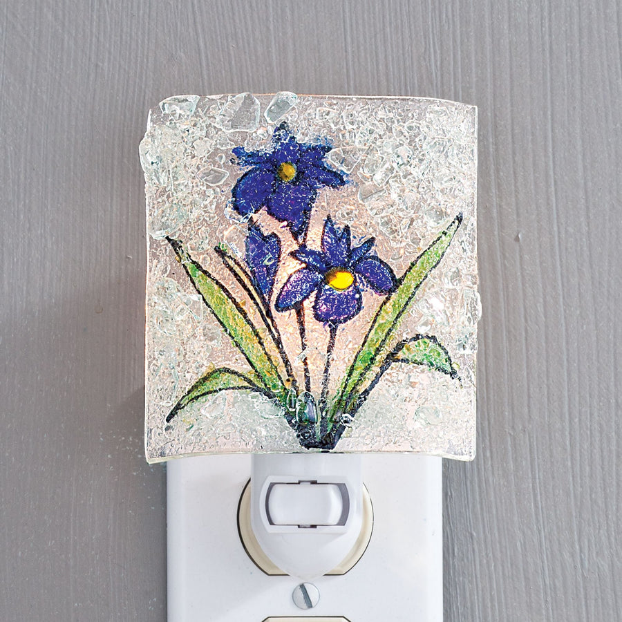Recycled Glass Iris Nightlight